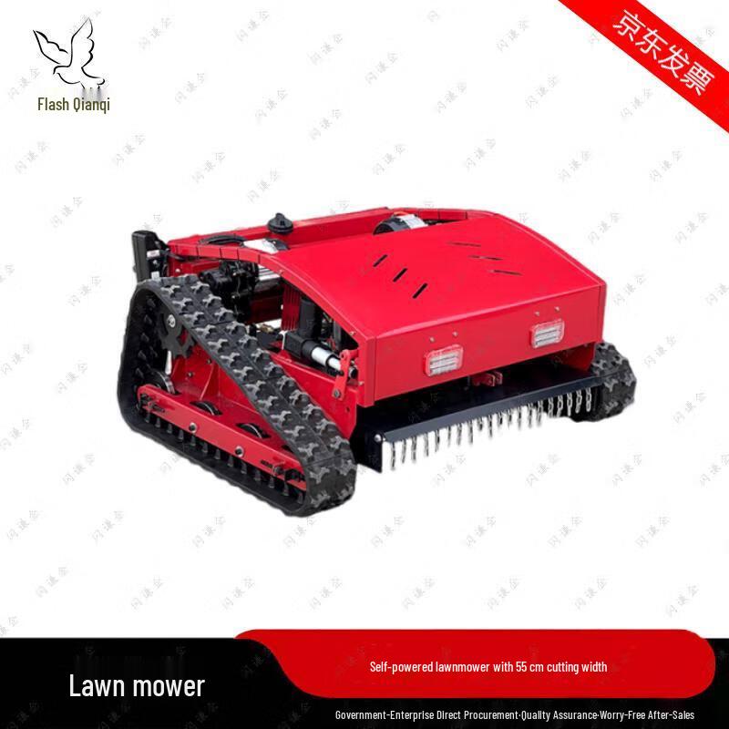 Heavy-Duty Gasoline Remote Control Lawn Mower CN Plug (adapter Included)