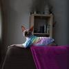 Sphinx Hairless Cat Clothes Deven Breathable T-shirt For Cats Stretch Fabric Clothing For Kitten Pet Shirt Coats For Puppy
