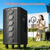 Malata M+9797 Portable Trolley KTV Speaker (CN Version)