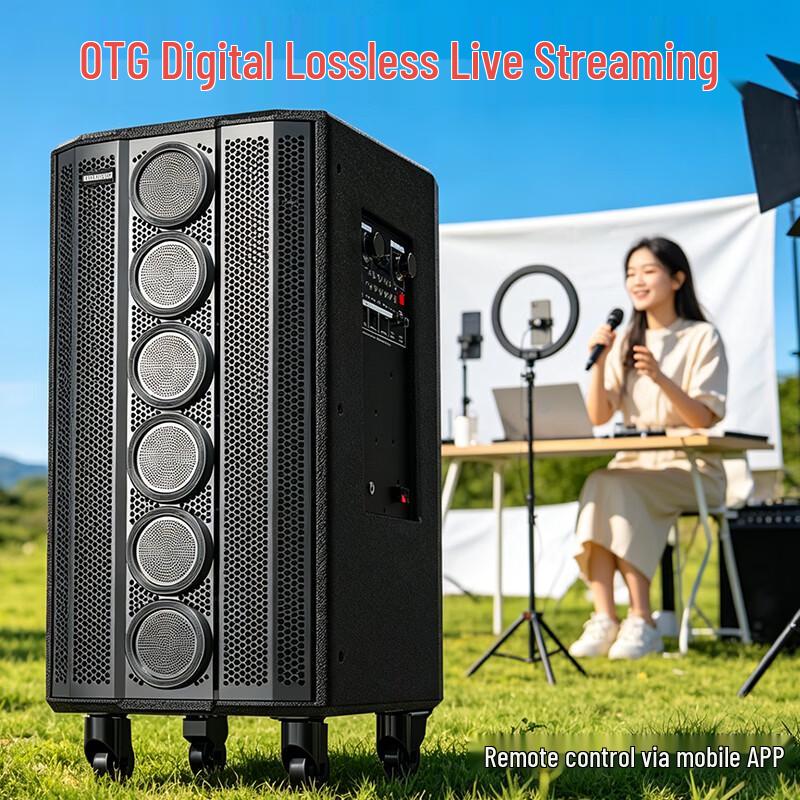 Malata M+9797 Portable Trolley KTV Speaker (CN Version)