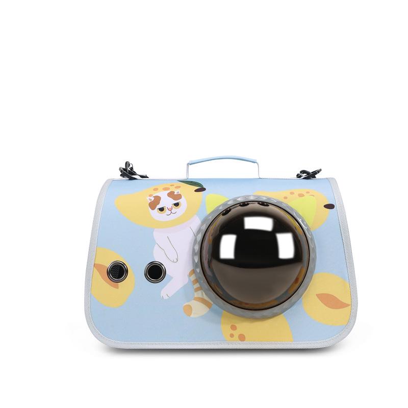 Portable Foldable Pet Space Capsule: Large Capacity Airline Crate for Cats and Dogs