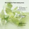 CLAYNAL Amino Acid Oil Control Mint Shampoo
