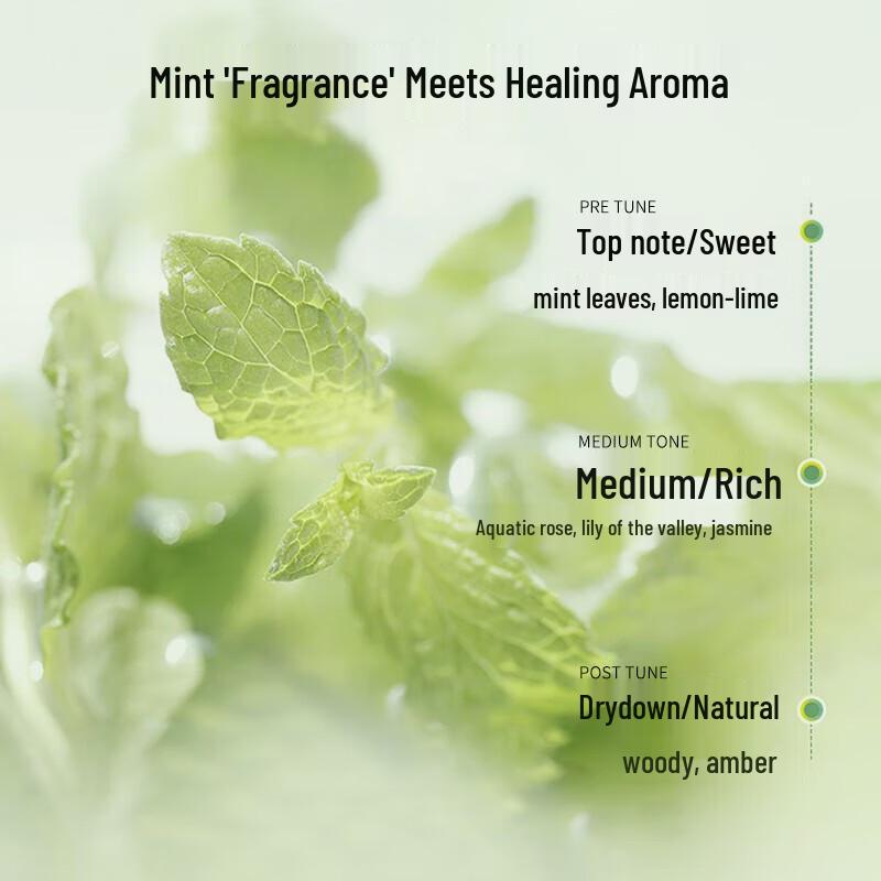 CLAYNAL Amino Acid Oil Control Mint Shampoo