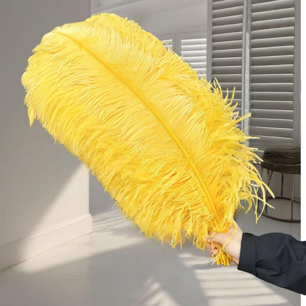 1pcs Ostrich Hair 65-70Cm Photo Feather Wall Wedding Road Guide Decorative Props Colored Feathers