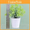 Artificial Plant Indoor Outdoor Decor Plastic Pot Greenery Tabletop Ornament For Home Office