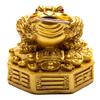 Plus Value Feng Shui Lucky Three Legged Money Frog with Coin In Mouth Toad Good Luck, Wealth, Prosperity, Success, Happiness, Positivity