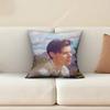 HHarry SStyles Kiss All The Time Disco Occasionally Sofa Couch Pillow Cover Cushion Case Cozy Bedroom Accent Studio Furnishing