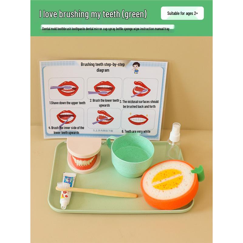 Montessori Toddler Tooth Brushing Practice Aid - Educational Model for Kindergarten