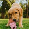 Multi Function Bite Resistant Pet Leakage Food TRP Durable Dog Chew Balls Pinecone Shape Interactive Dog Training