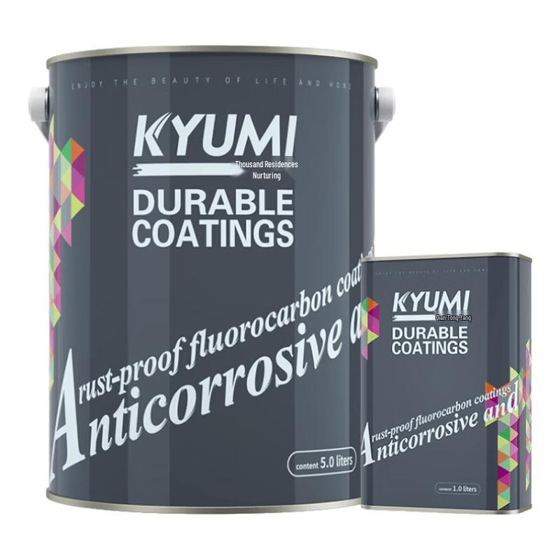 Qianjumei Fluorocarbon Metal Anti-Corrosion Paint 5kg