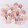 30er-Pack ABS-Blumen-Stecknadeln, Dekorative Blumen-Kopfnadeln für Pinnwände, Fotowand, Karte, Büro und Heimdekoration