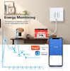 European Standard Smart WiFi Socket with App Remote, Voice Control, Timer, and Power Monitoring
