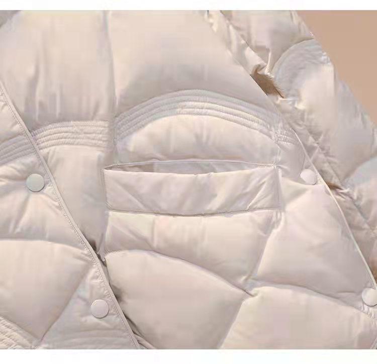 Chice leichte Daunenjacke für Damen - Trendiger Herbst/Winter Stehkragen Bestseller