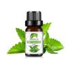 10ml Essential Oil Organic Plant 33 FLAVOR DIY Aromatherapy Plaster Candle Soap Making Aroma Fragrance Oil for Diffuser Sleep