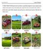 Russian Diesel Remote-Controlled All-Terrain Tracked Lawn Mower for Steep Slopes