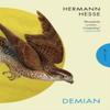 Demian by Hermann Author Hesse Paperback Book 9781805330349