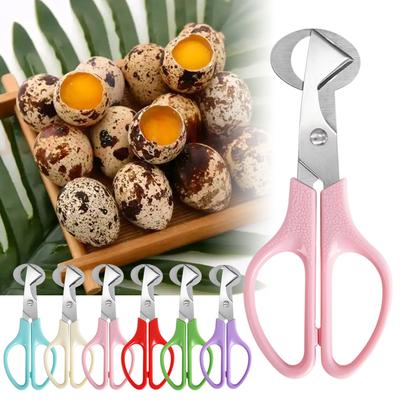 5pcs Stainless Steel Quail Egg Cutter Scissors Pigeon Bird Quail Egg Cutter Opener Cracker Kitchen Clipper Tool