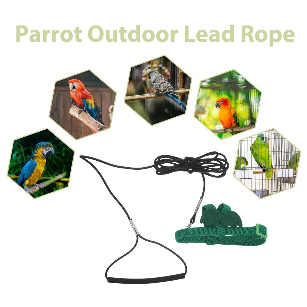 Parrot Flight Rope Harness Adjustable Cute Wing Style Outdoor Training Safety Escape Prevention Bird Harness for Keck Mini Macaw