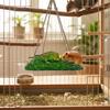 Pet Grass Hammock For Parrots Squirrels Hamsters Large Medium Small Sized Birds And Rodents Climbing Toy With Suction Cup Hook