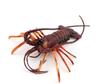 [Nekogamiyama] Spiny Lobster, Marine Life Figure, Model, Miniature, Ornament, Interior Decor, Collectible Model