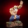 Dragon Master Roshi Figure Kame Sennin Figurine 25CM PVC Action Figures Collection Model Toys for Children Gifts