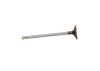Ft50133 Fast Intake Engine Valve