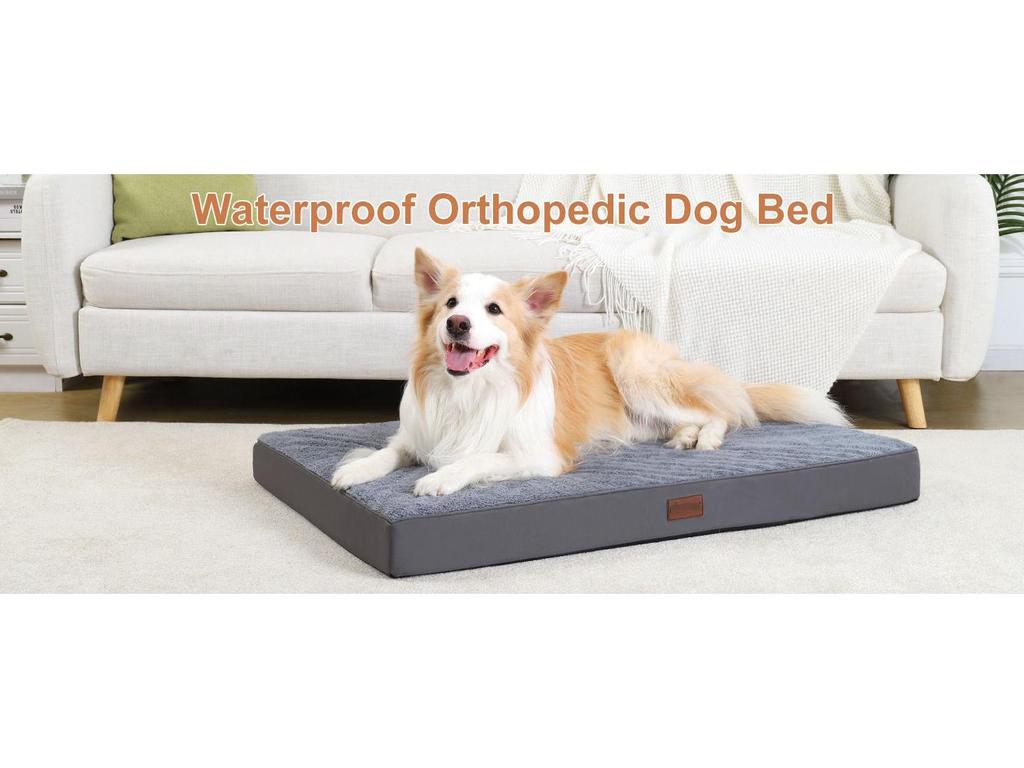Four Seasons Removable & Washable Non-Slip Dog & Cat Bed - Bite-Resistant, Scratch-Resistant, Velvet Pad