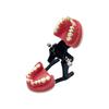 Dental Orthodontic Training Jawbone Model Wax Gingiva Orthodontic Treatment Dental Model