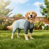 Quick Drying Dog Cooling Jumpsuit Breathable Dog Sunscreen Costume  Spring Summer