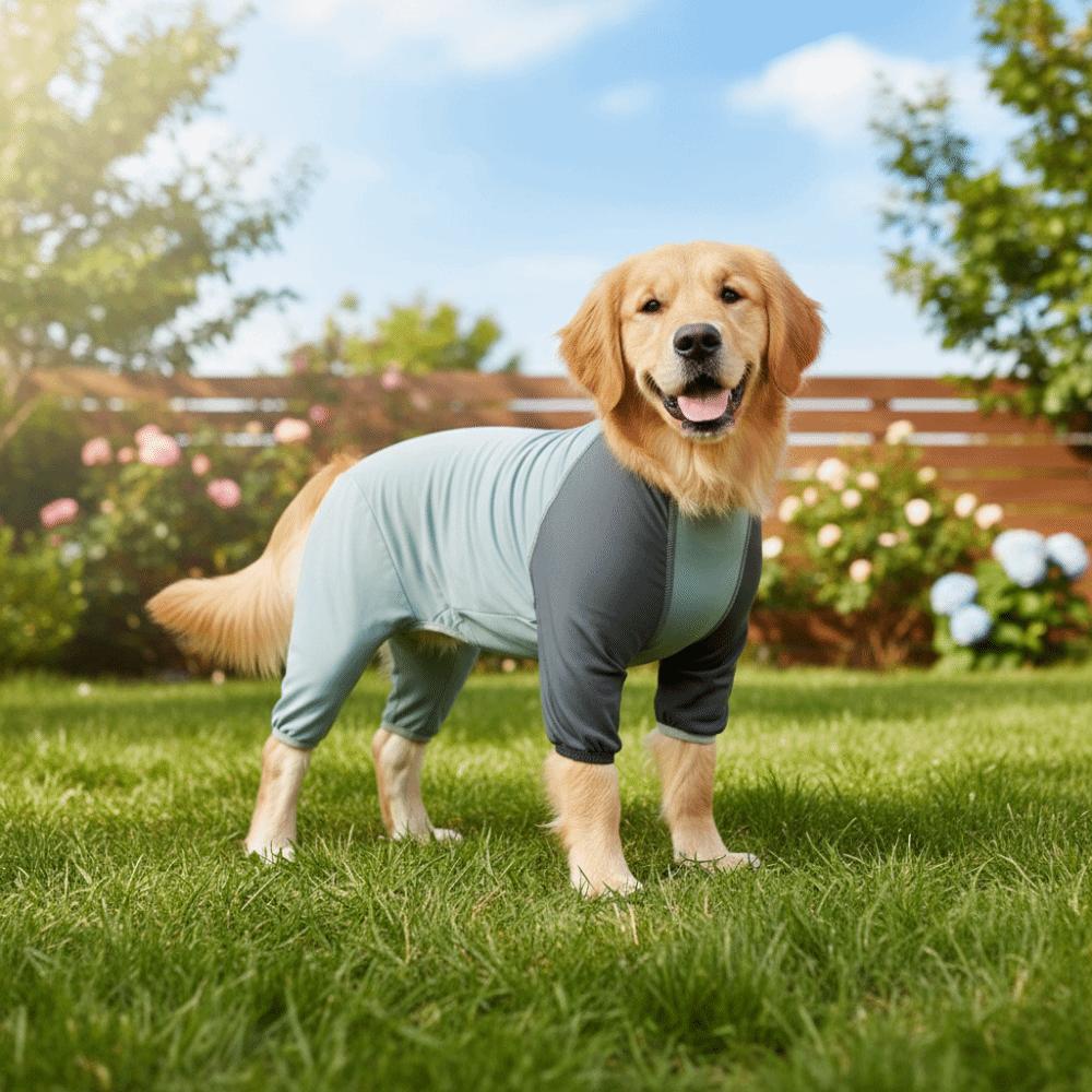Quick Drying Dog Cooling Jumpsuit Breathable Dog Sunscreen Costume Spring Summer