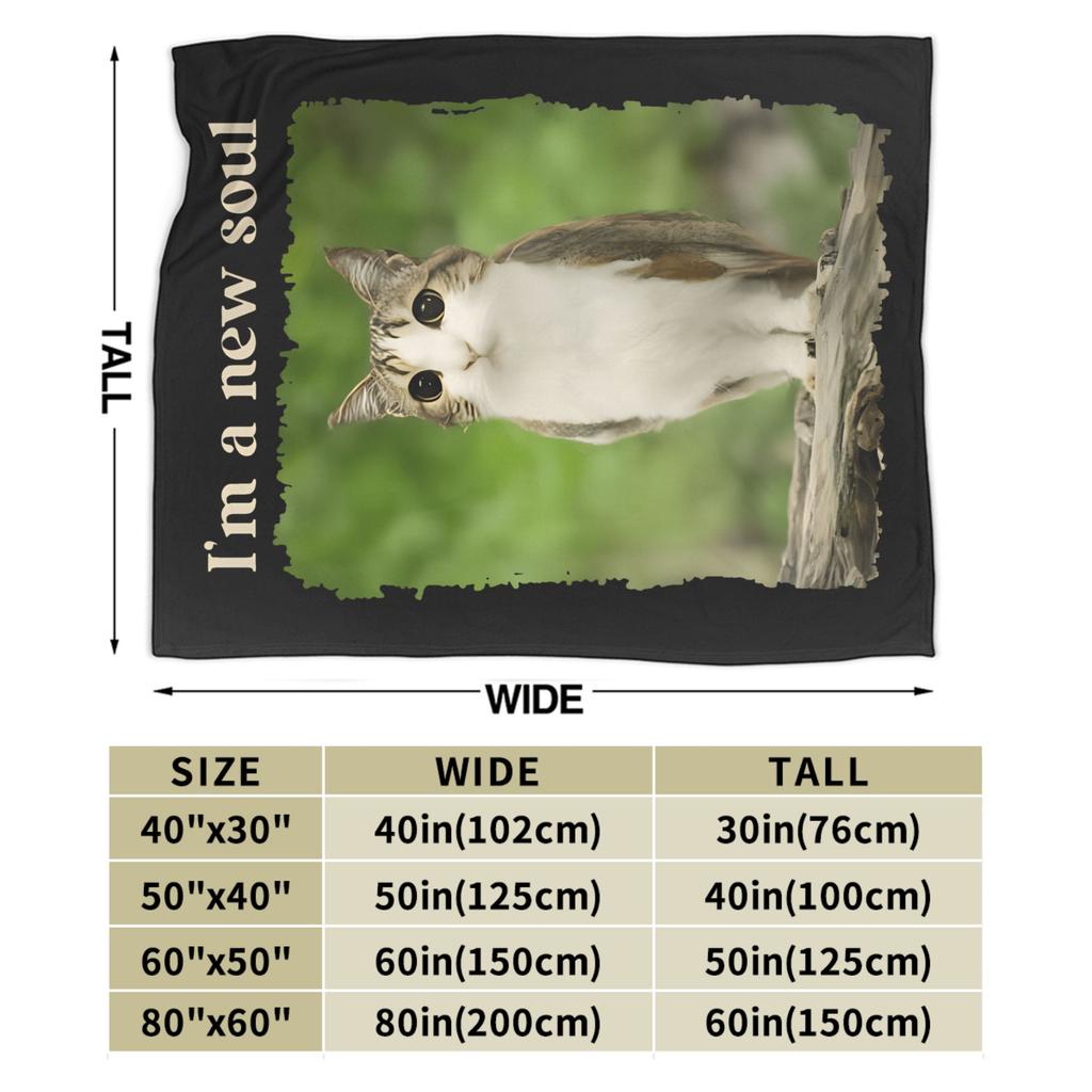 Meowl Cat Owl Brainrot Gen Meowl Blankets Fleece Autumn Portable Super Warm Throw Blankets for Home Office Plush Thin Quilt