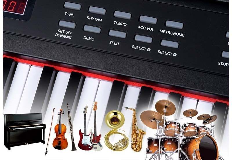 Dna Pp 88 Full-Size Digital Piano Keyboard for Learning