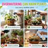 Automatic Drip Irrigation Watering Spike 10/20Pcs Adjustable Fits Common Bottles for Garden Potted Plant Watering