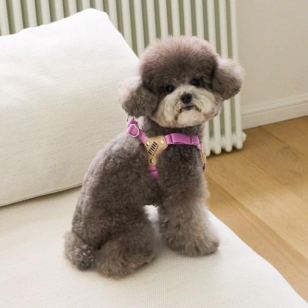 Bai Bong Puppy Light Bear Harness, Purple