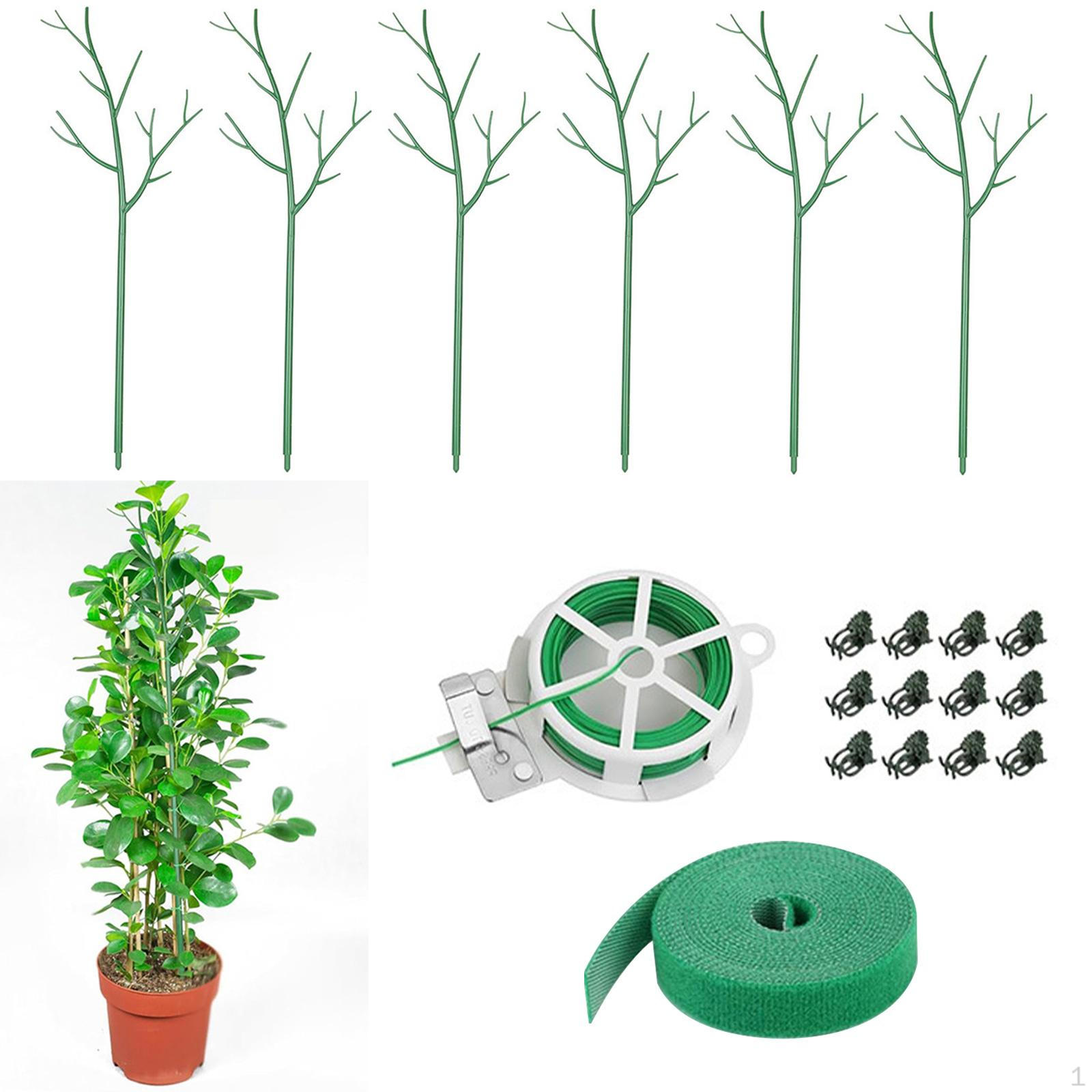 

Набор кольев для поддержки растений, 6 предметов, универсальная опора для помещения, зеленые аксессуары с зажимами для орхидей 27.5inch 70cm