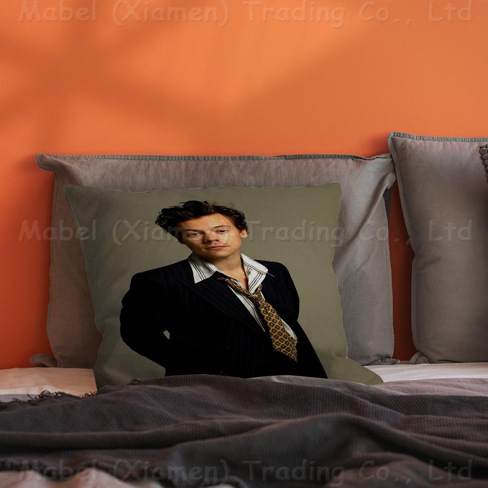 Sänger H-Harrys S-Styles Personalisierte Bildtext Heimdekorationskissen Haushaltsgeschenke 45x45cm