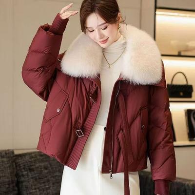 Big Fur Collar Down Cotton Coat Large Size Thickened Warm Jacket