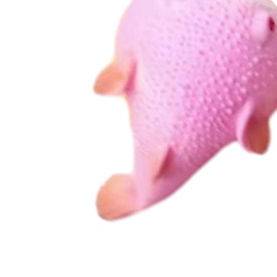 Flour Pufferfish Stress Ball Squeeze Toy Stress Relief Mini Puffer Sensory Toy Home Office Worker Decompression Tool
