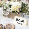 Exquisite Place Cards Name Cards with Gold Edging for Weddings and Banquets
