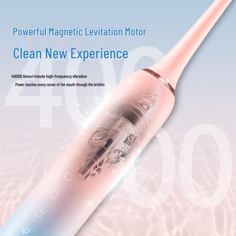 Bo Hao T33 Sonic Electric Toothbrush