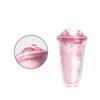480ml Sakura Plastic Cups Double Wall Hidden Straw Iced Cup Creative Juice Drinking Cup Kids Gift Water Bottle for Outdoor