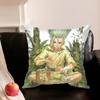 D-Dr S-Stone A-Anime Pillowcase For Sofa Room Office Decor Printing Protector Cushion Cover Valentine Gift Custom