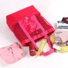 Mesh Transparent Storage Bag Double-layer Heat Preservation Large Capacity Convenient Picnic Beach Bags Tote Office Snacks Bags