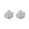 Fashion light luxury high-end stud earrings small fresh flower series earrings sweet and exquisite niche versatile daily earrings