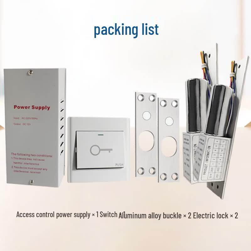Realand S01S Electric Bolt Lock Double Door Access Control Kit CN plug (adapter included)