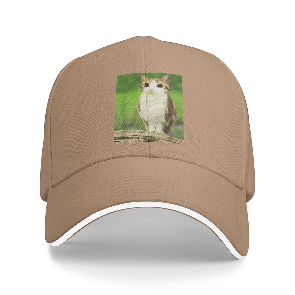 Spring Casual Baseball Cap Meowl Cat Owl Meme Funny Animal Hybrid Running Hippie Trucker Hat For Couple Trendy Baseball Caps