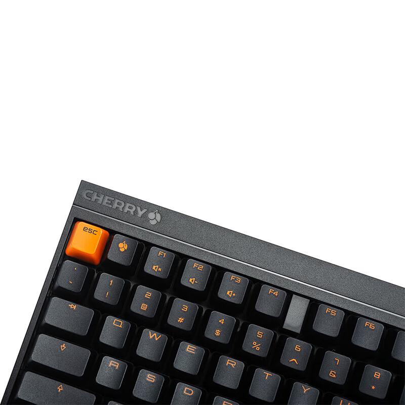 CHERRY MX2.0 PRO 108-Key Mechanical Keyboard