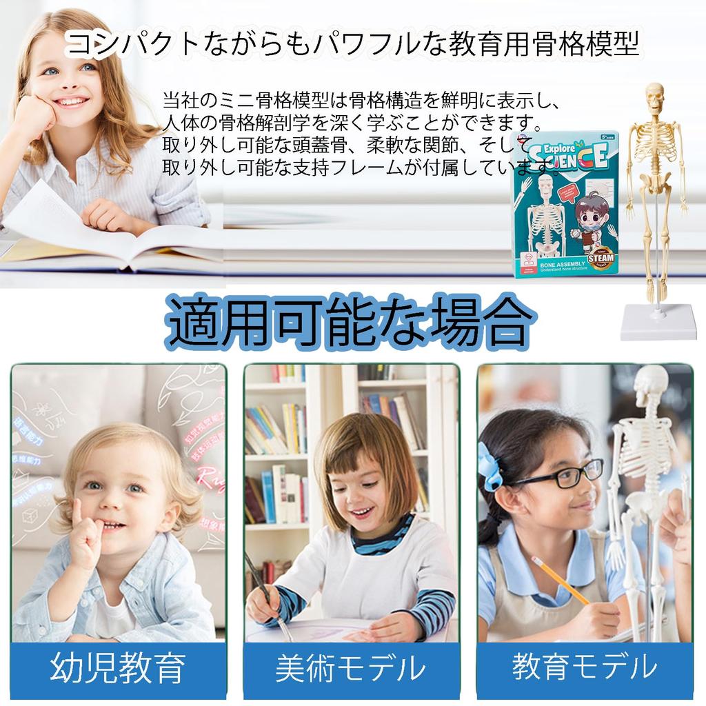 MOSABRUKI Human Anatomy Model Puzzle, Human Body Model Toy, Mannequin, Human Anatomy Model, Skeleton Model, Skeleton Specimen Toy, for Medical Student