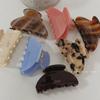 Korean Gold Label Candy Color Acetate Medium Hair Claw Clip