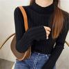 Autumn and Winter Semi-turtleneck Bottoming Sweater Women's Inner Pit Strip Pullover Shirt Solid Color Casual Tops Elegant Thin Simple Clothing